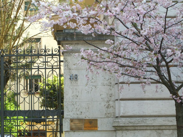 Breve storia del Centro Psicoanalitico di Roma