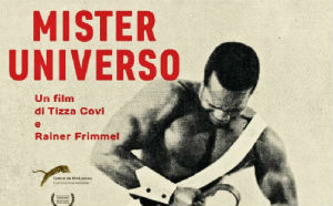Mister Universo