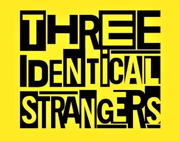 “Three Identical Strangers” di T. Wardle Recensione di A. Cordioli 1