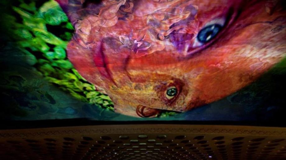 Pipilotti Rist, 1996