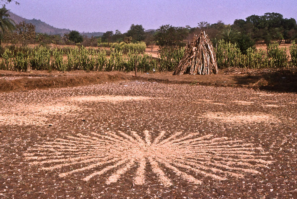 RICHARD LONG