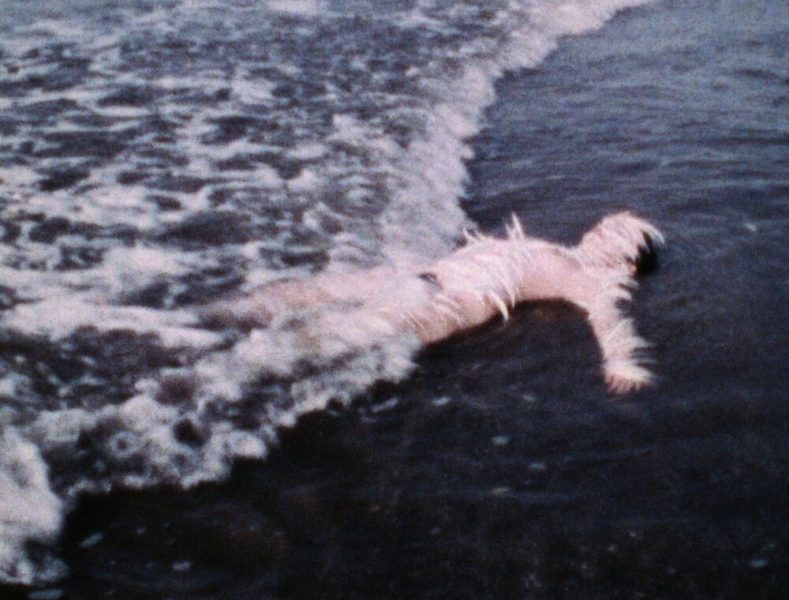 Biagio de Giovanni e il sogno di un’Europa che non muore. Huffpost, 21/6/22