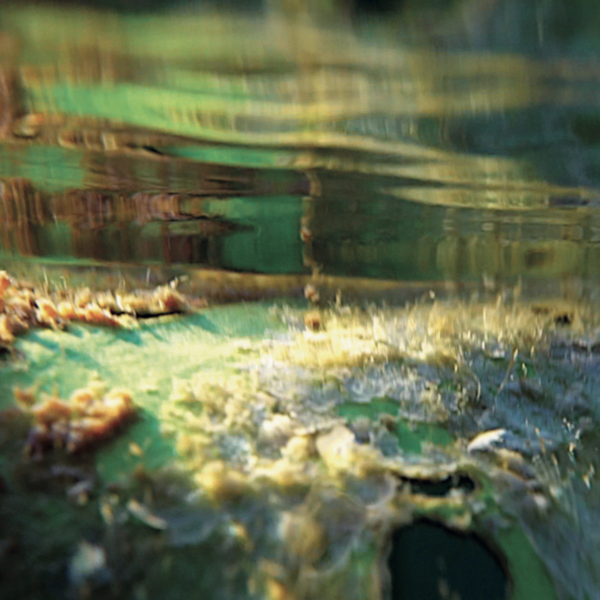 PIPILOTTI RIST, 2018