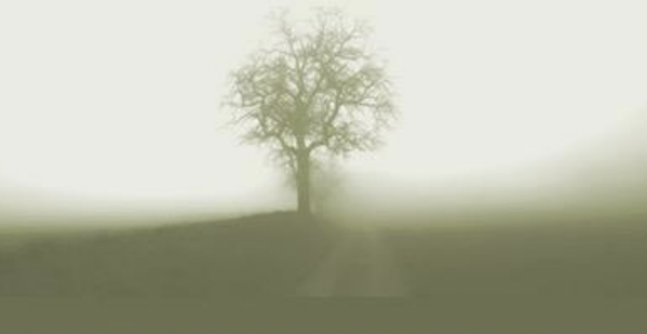Silenzi e Ascolto. L’incontro psicoanalitico con stati autistici.
