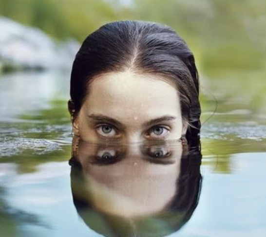 "Triste Tigre" di N. Sinno. Recensione di E. Pironi