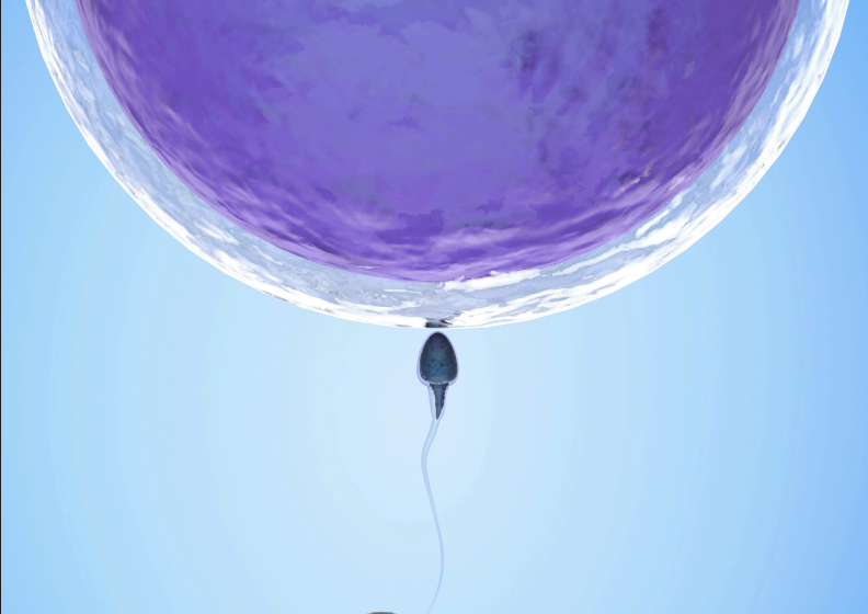 COWAP CONFERENCE First announcement -Save the date. Heidelberg, Germany. June 12-14, 2026