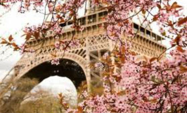 PARIGI PATERNEL_1